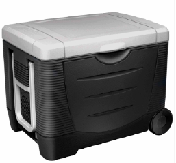 Refroidisseur et chauffage électriques avec réfrigérateur à chariot de 45 L