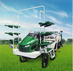 Long Hair 2zg - 6Y High Speed ride transplanter