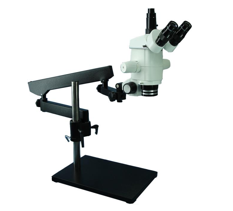 Sm30 + 3612b microscopía estereoscópica de zoom de la serie SM