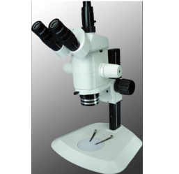 SM30+3230B SM Series Stereo Zoom Microscope