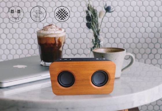 M10S Wireless Speaker 