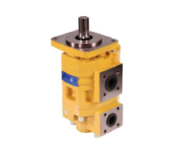 CBGNL Double Gear Pump