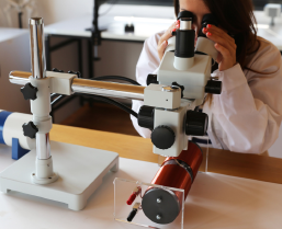 ¿Cómo usar microscopía estereoscópica de zoom?