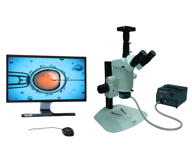 Microscopio estereoscópico de zoom de la serie sm30 - HDMI SM
