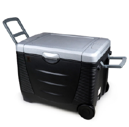 Electric Cooler And Warmer With Trolley Fridge 45L 