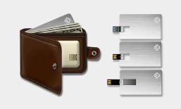 Tarjeta de metal Disco USB 2.0 U640