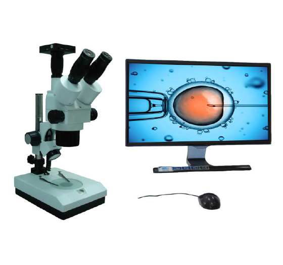 XTST-CM3 XTS series Stereo Zoom Microscope