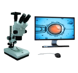 Microscopio estereoscópico de zoom de la serie xtst - cm3 xts