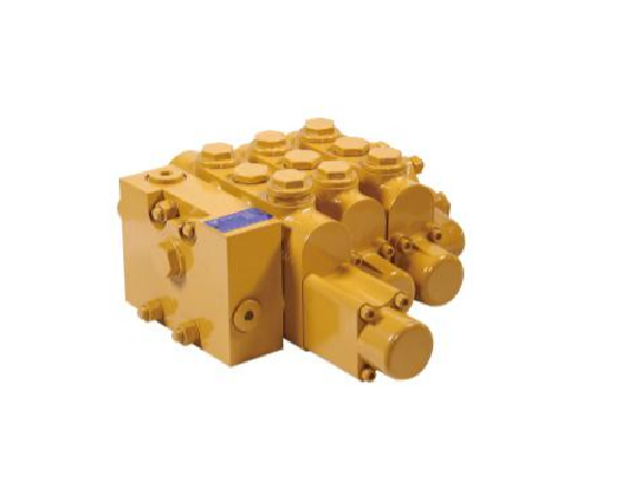 Dlsg * - 20 series multiplex Reverse Valve