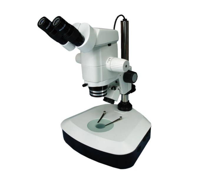 Sm30 + 3151B microscopía estereoscópica de zoom de la serie SM