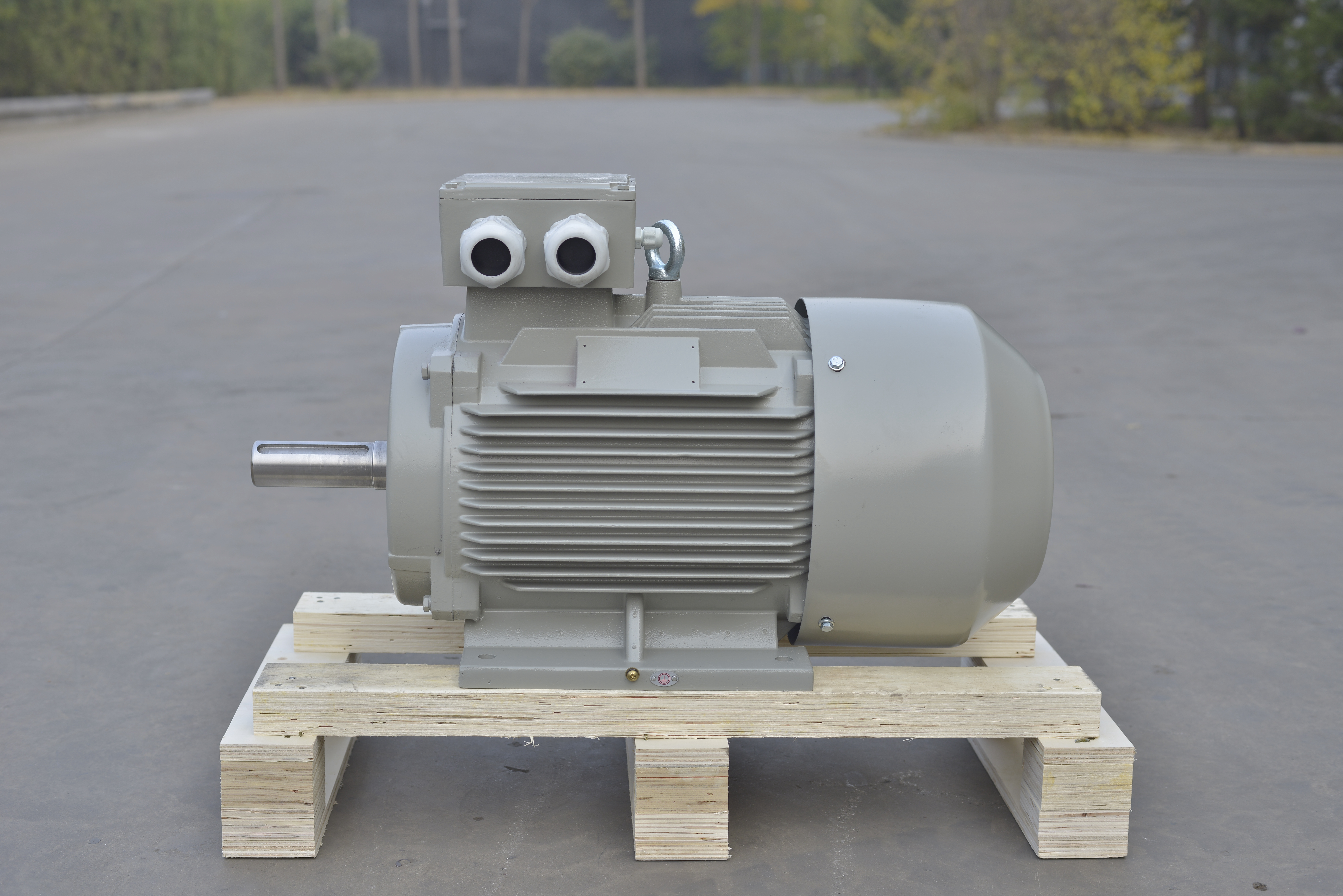 YE4系列三相IP55异步电动机