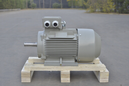 YE4系列三相IP55异步电动机