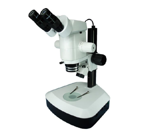 SM30+3231B SM Series Stereo Zoom Microscope