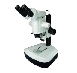 Microscopio estereoscópico de zoom de la serie SM sm30 + 3231b