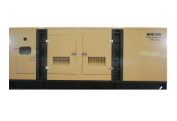 Weichai wpg500b7ng Series 50hz gas Generator set