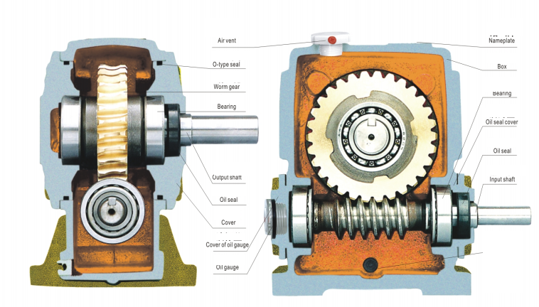 WP Series Worm Gear Reducer
