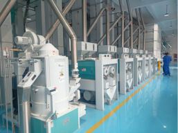 Double Emery Roller Rice Whitener Machine