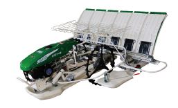 Transplantateur stepper 2zs - 4hd