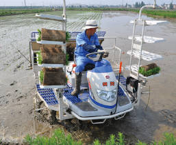 The Application of Rice Transplanter