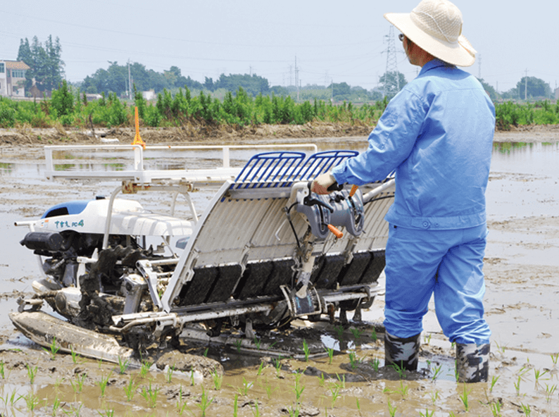 PC Series Hand Held Rice Transplanter-PC4