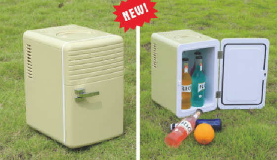 Portable 8L Cooler And Warmer